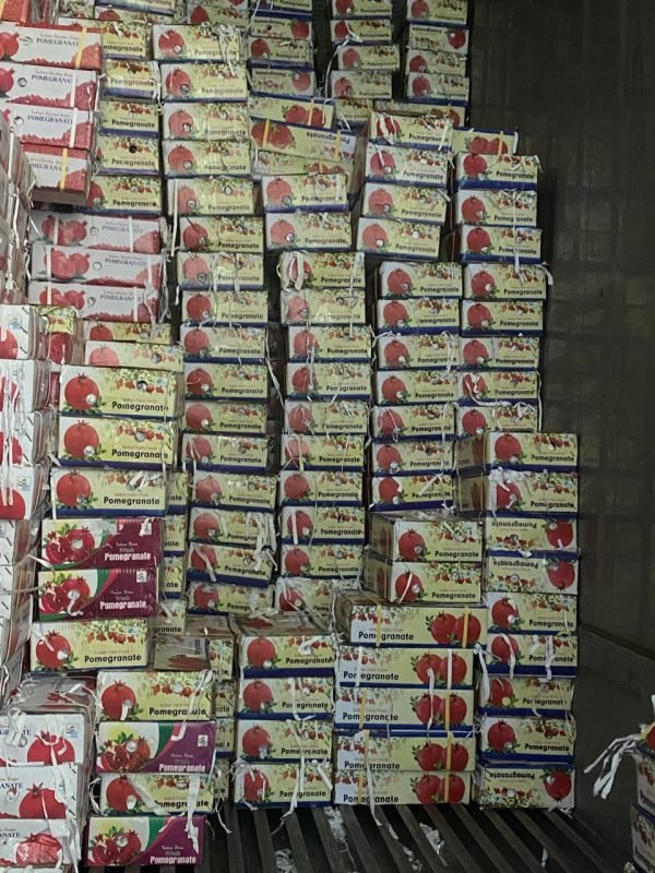 0cc2bb51-6cc5-496e-bd5b-35e905e5b3ab