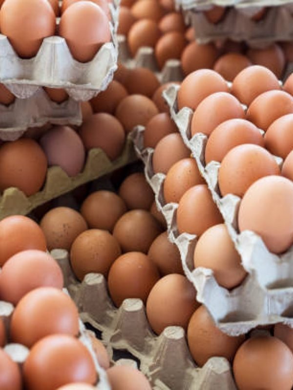 Fresh eggs being sold at farmers market