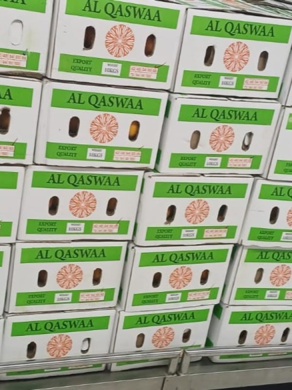 2a18696d-7d06-43a0-9839-60d784c2e8e7