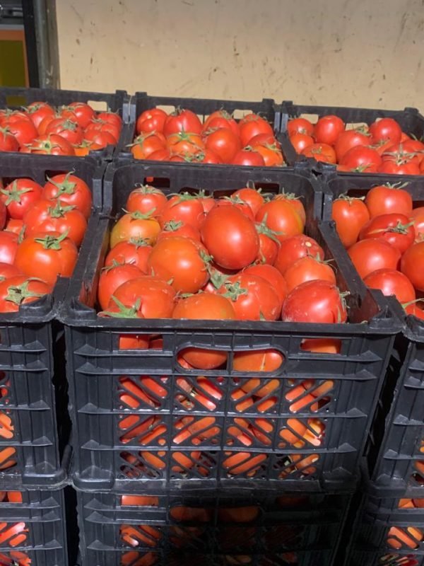 57c61cc9-5f7f-4322-834d-1af9455fbc26