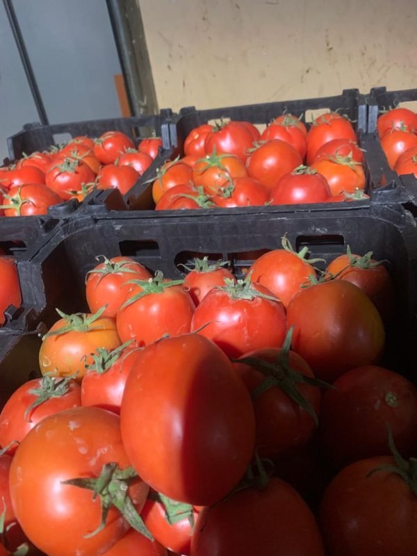 a26ce18d-f359-4477-bc4d-e6eb0071e834