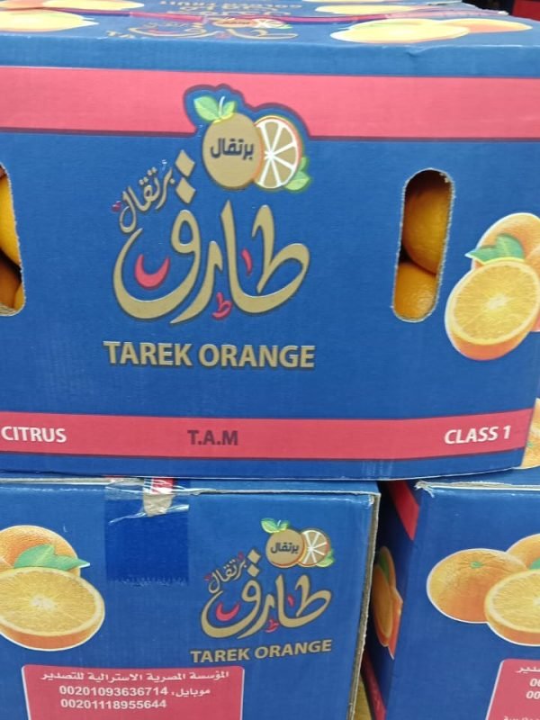 a880a8fc-67d0-44bc-8bd2-5c9393fe7284