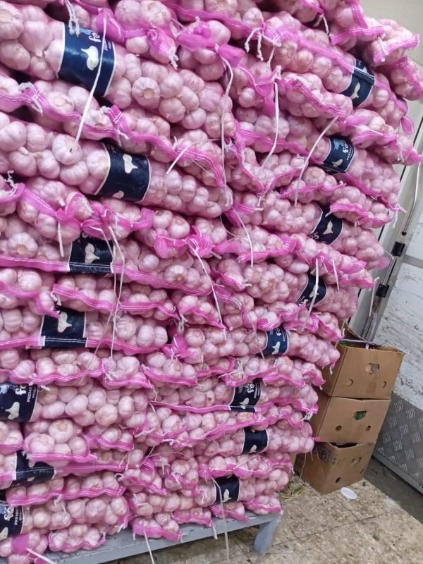 f3394795-9d5a-4fa9-8fd5-06c9c972e229